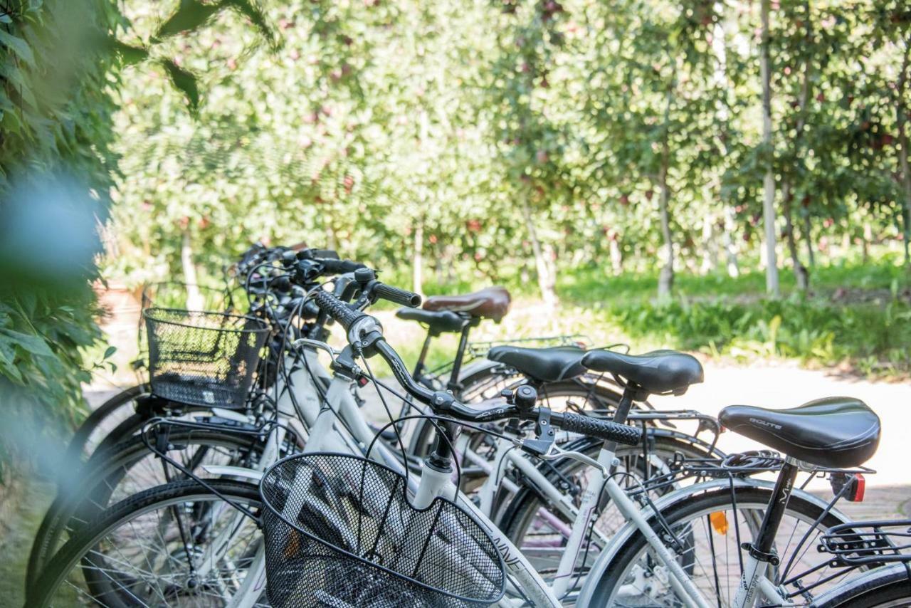 Gartenhof Bressanone Dış mekan fotoğraf